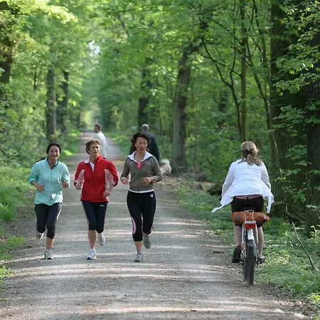 Szálloda Waldhotel Bad Soden 3*